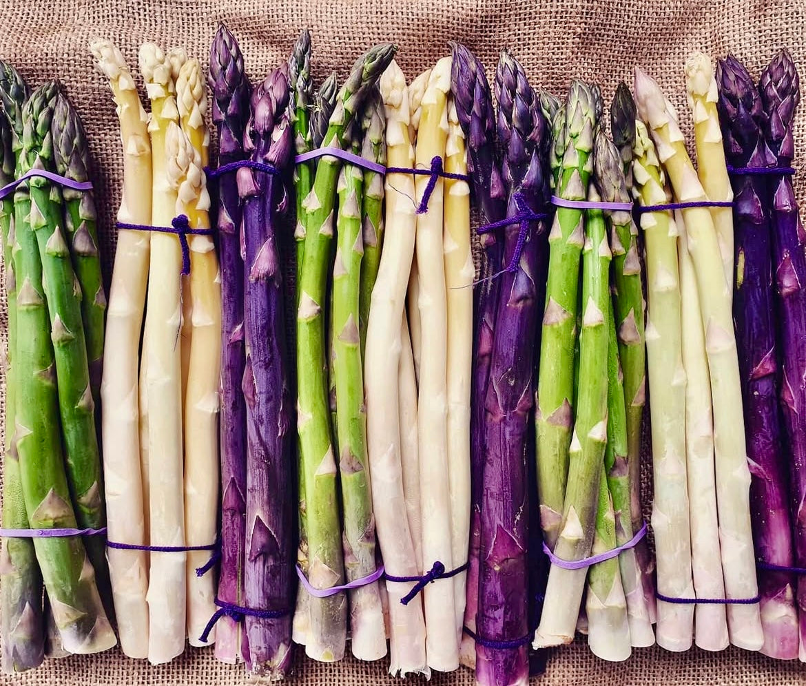 The Vege Box