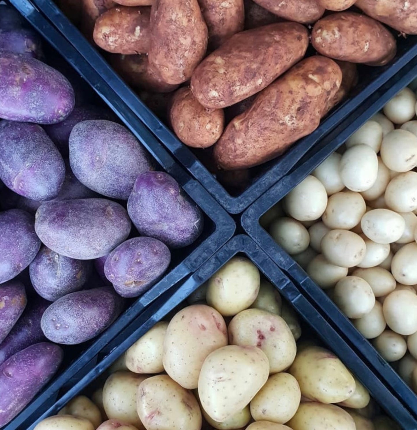Potatoes (1kg)