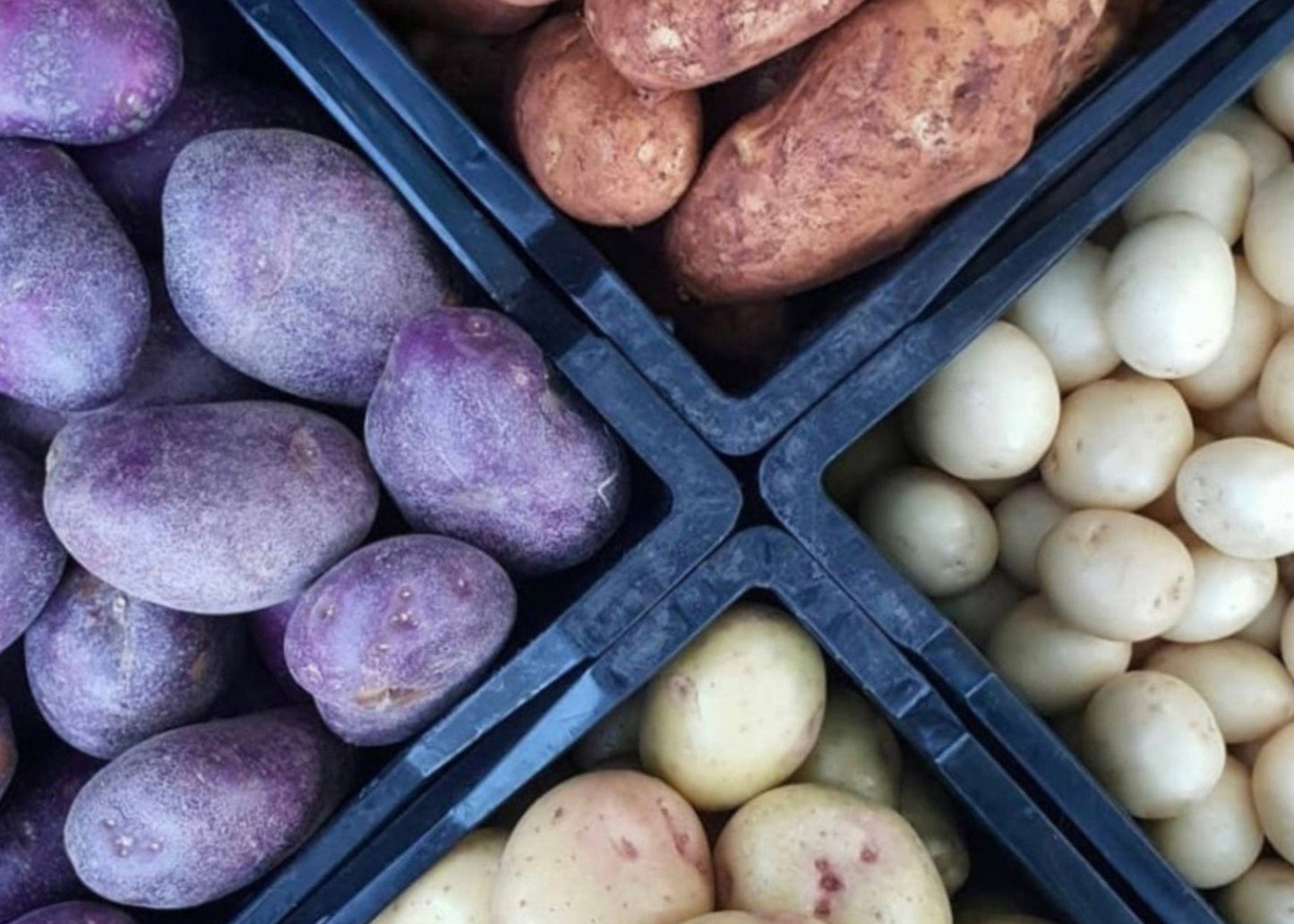 Potatoes (1kg)